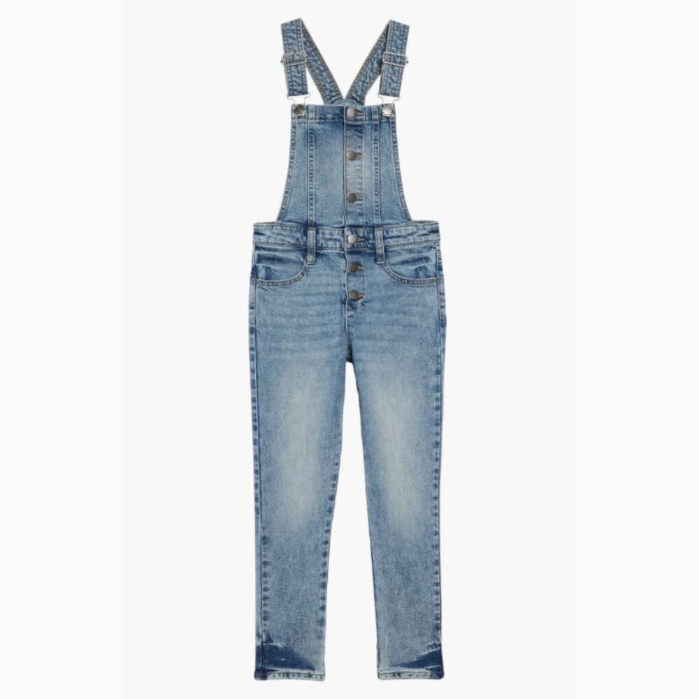 Treasure & Bond (Nordstrom brand) Mid Vintage Wash Denim Button Front Overalls